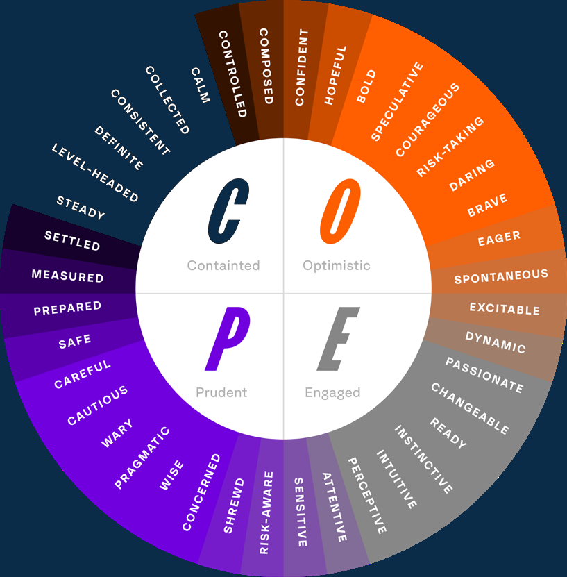 Spotlight COPE mindset wheel